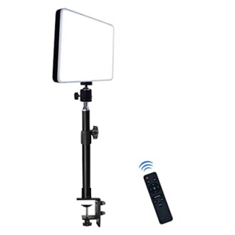 LED video light with adjustable stand and remote control